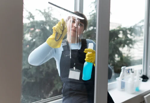 Nettoyage de vitres intérieures et extérieures à Vernols